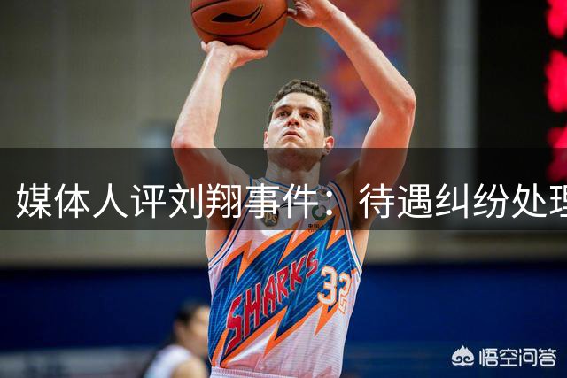 媒体人评刘翔事件：待遇纠纷处理方式有待商榷